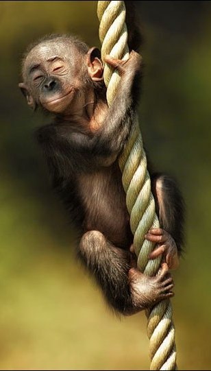 Ирина Завр | Санкт-Петербург