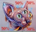 №2 Олег Фейгин : профиль, фото, статус - ВКонтакте №2 Олег Фейгин : профиль, фото, статус - ВКонтакте