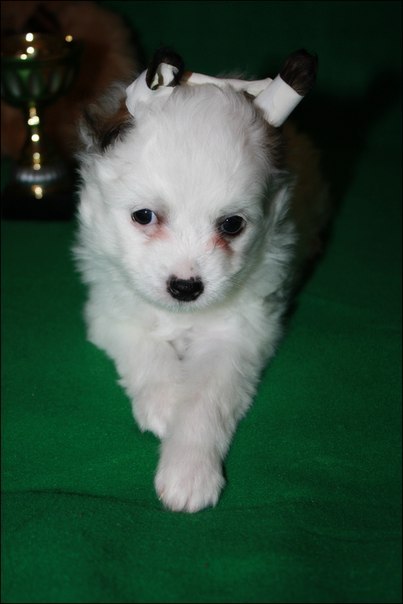 Ирина Большакова | Санкт-Петербург