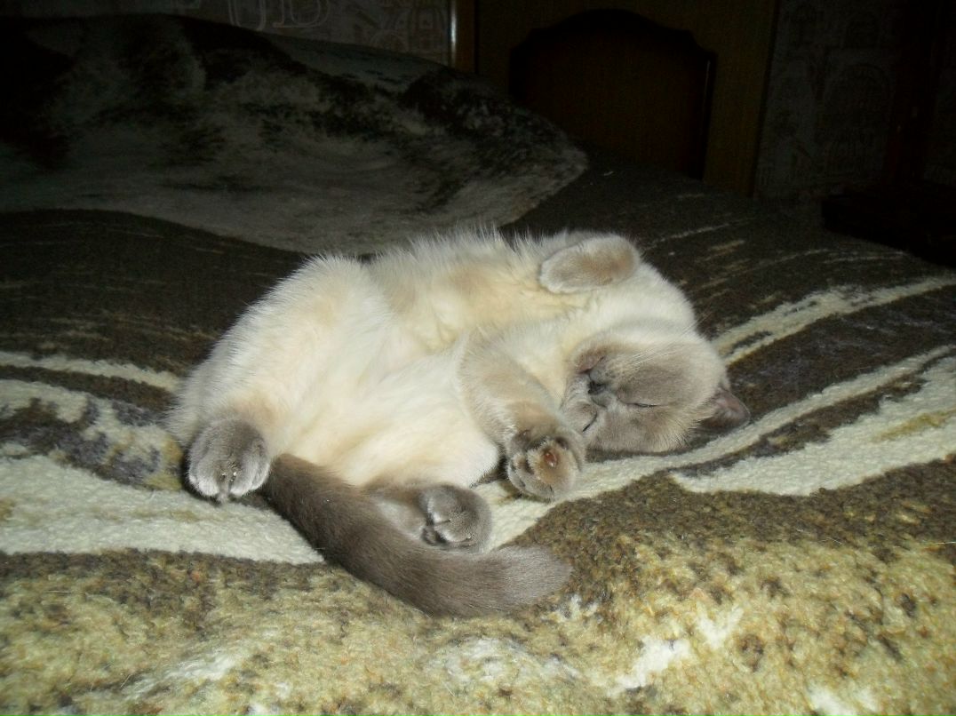 Алексей Анисимов | Мурманск