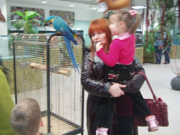 №71, Валентина Чебанюк, Киев №71, Валентина Чебанюк, Киев