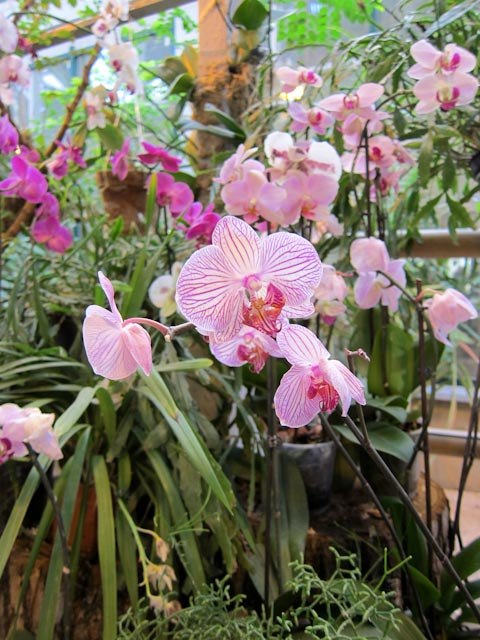 Анастасия Цветкова | Москва