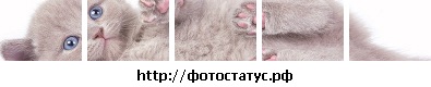 №11, Олеся Мелешко, 34 года, Дмитров №11, Олеся Мелешко, 34 года, Дмитров