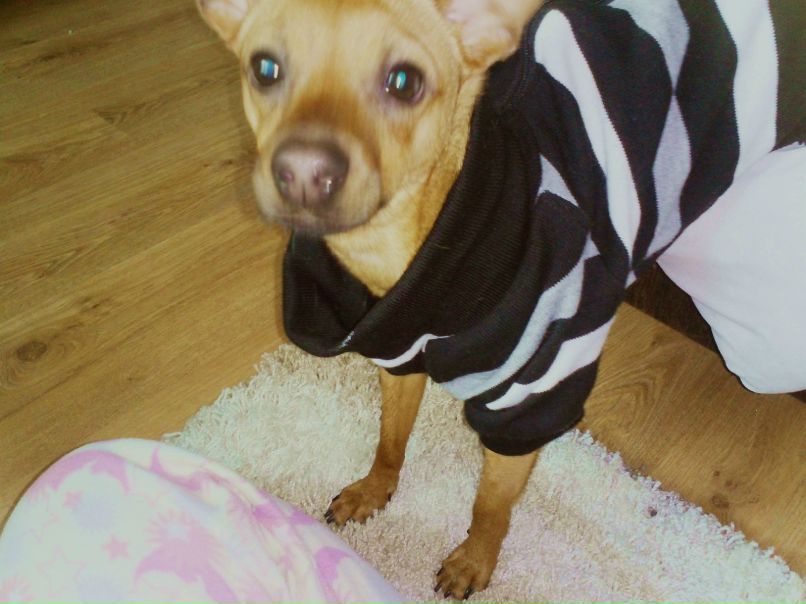 Кристя Соботюк | Киев