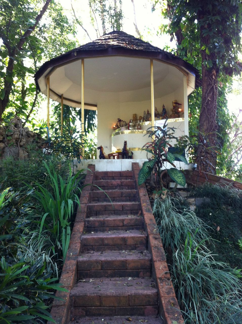 Елена Трибрат | Одесса