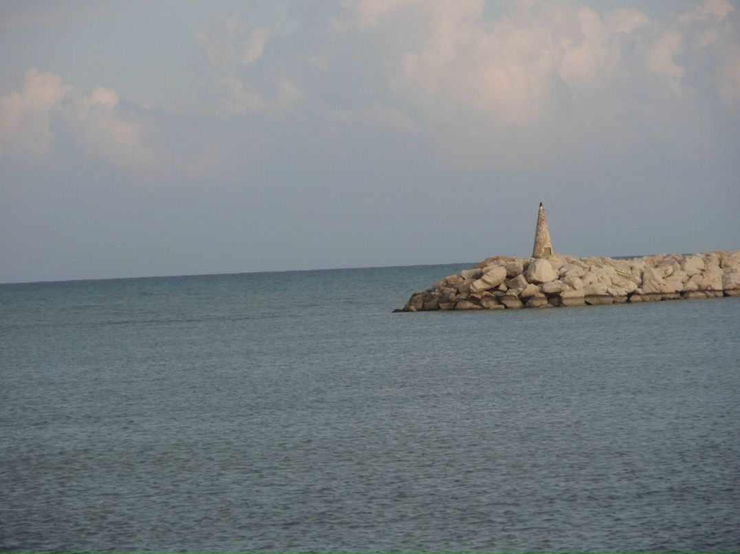 Ольга Насонова | Санкт-Петербург