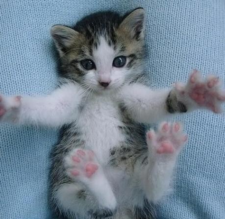 №47, Мария Фролова №47, Мария Фролова