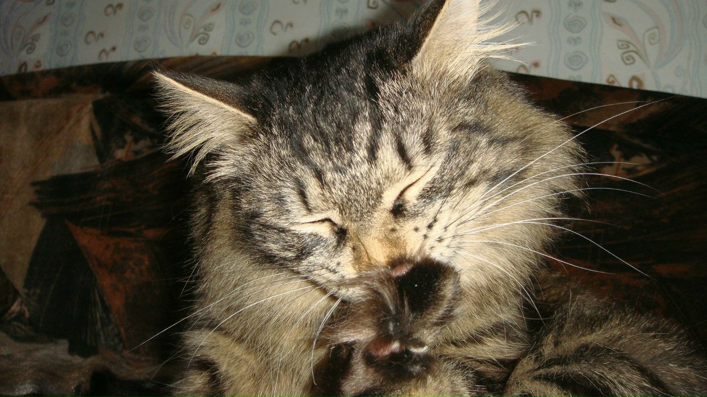 Айгуль Гилязева | Набережные Челны