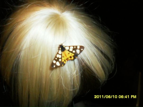 №15, Екатерина Илларионова №15, Екатерина Илларионова