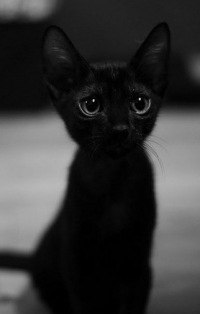 Полина Дмитриевна | Пермь