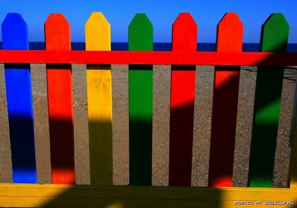 Анна Проскура | Nürnberg