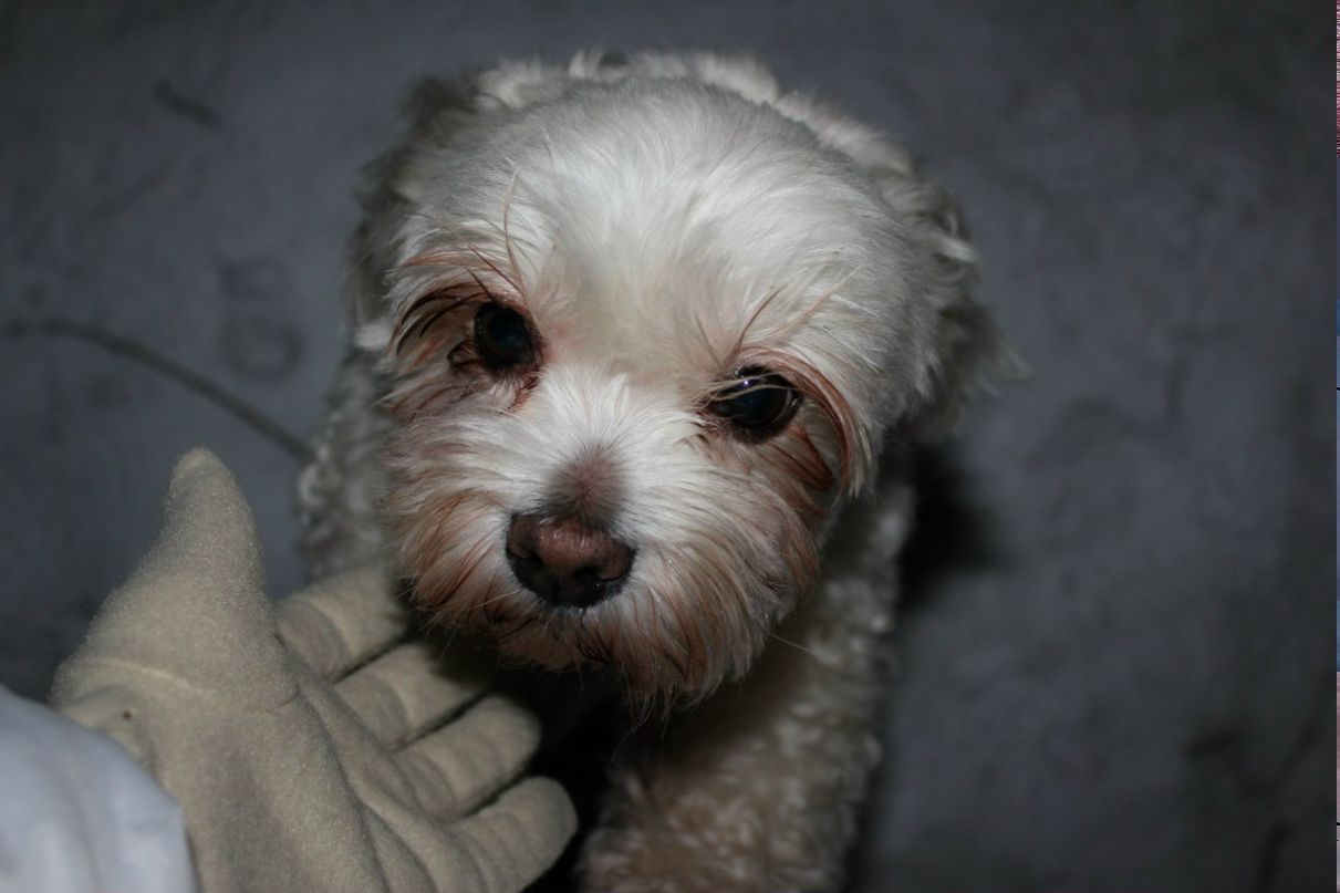 Наталья Климакина теперь Климакина | Москва