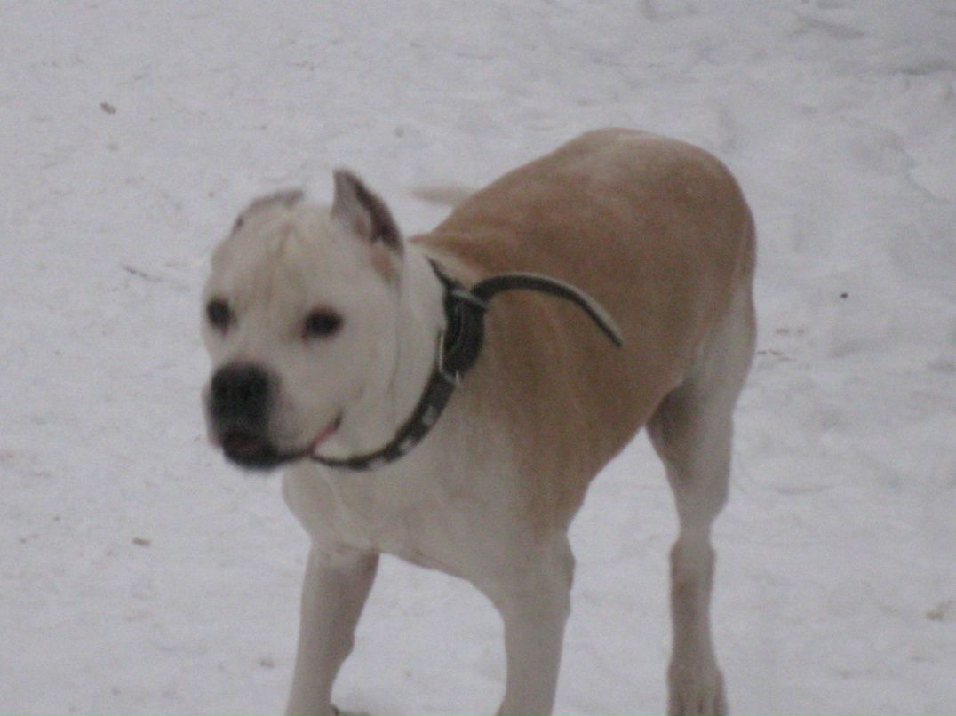 Серёжа Зубко | Харьков