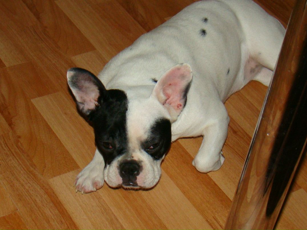 Наталья Астракова | 