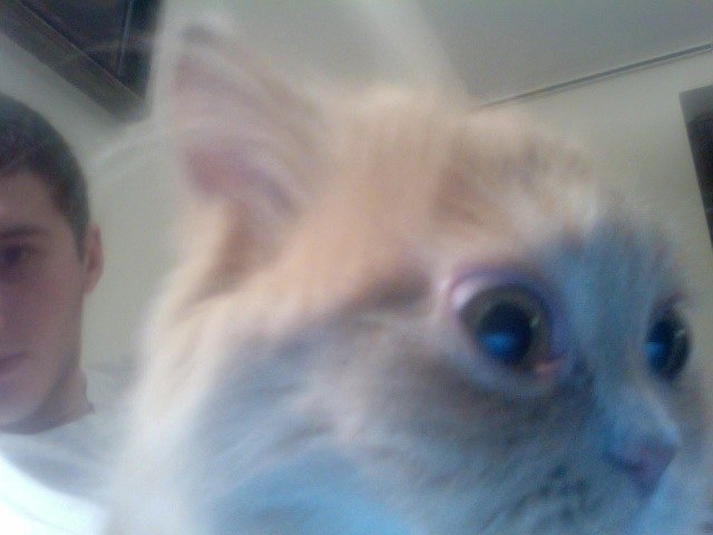 Воя Джуричич-Копалеишвили | Москва