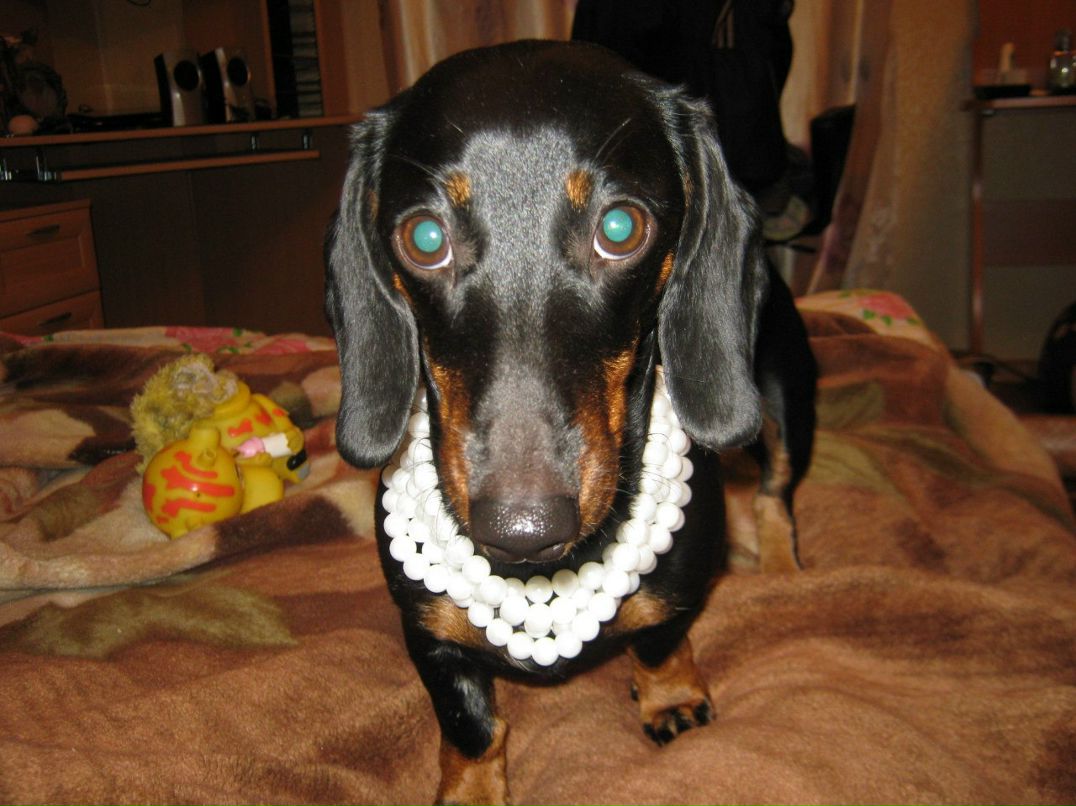 Ирина Захарова | Питкяранта