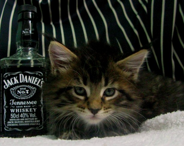 Лена Капралова | Москва