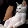 Аватар: Катюша Носійчук