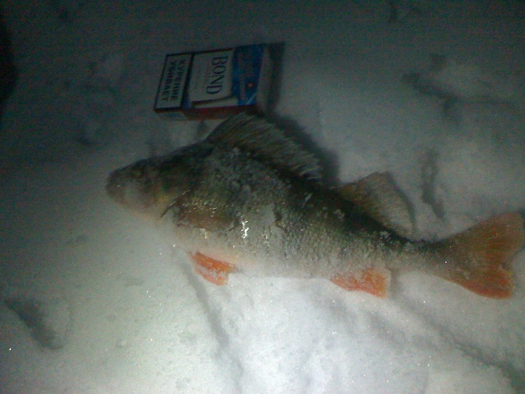 Илья Буркалев | Москва