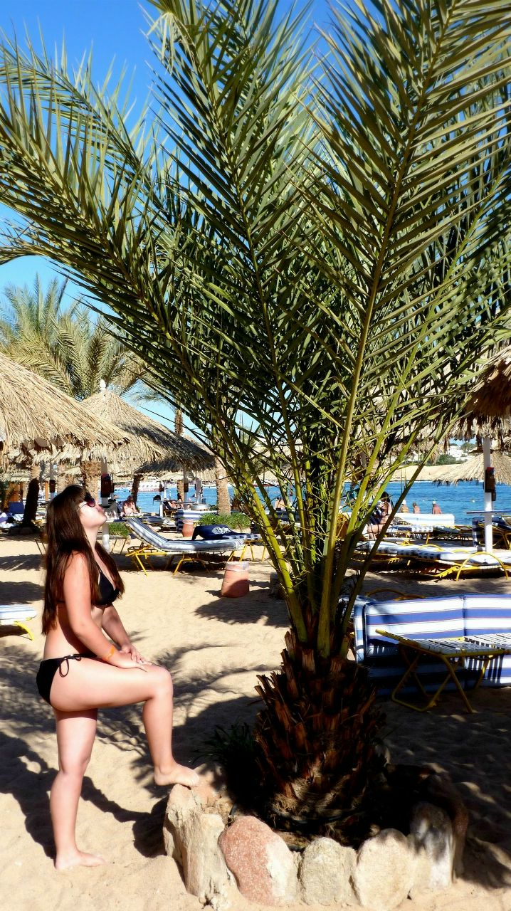 Машуля Комарова Макарона | Волгоград