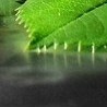 №7 Евгения Тимофеева : профиль, фото, статус - ВКонтакте