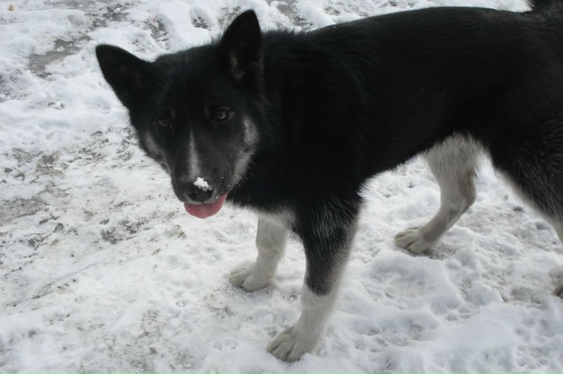 Елена Петрова | Санкт-Петербург