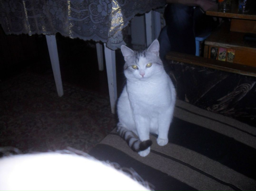 Сергей Асеев | Нижний Новгород