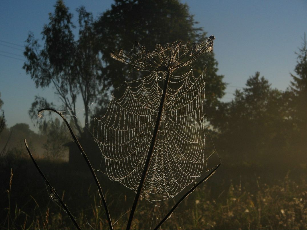 Дмитрий Карелов | Москва