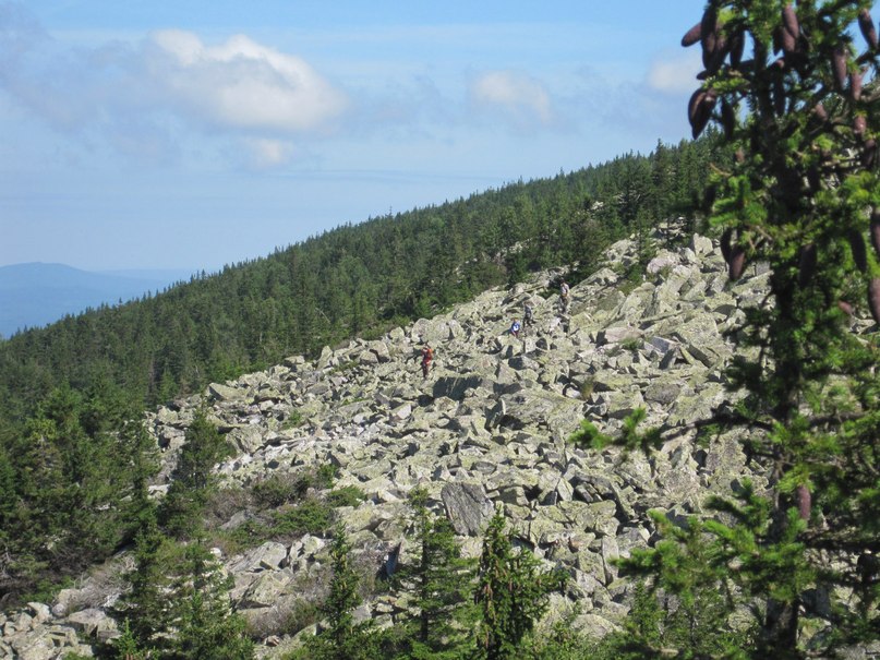 Миха Волков Unit | Москва