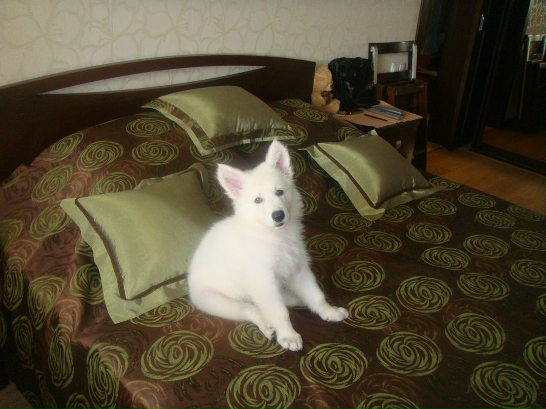 Влад Якубовский | Ивано-Франковск