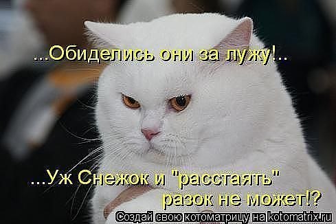 Полина Коваленко | Ростов-на-Дону