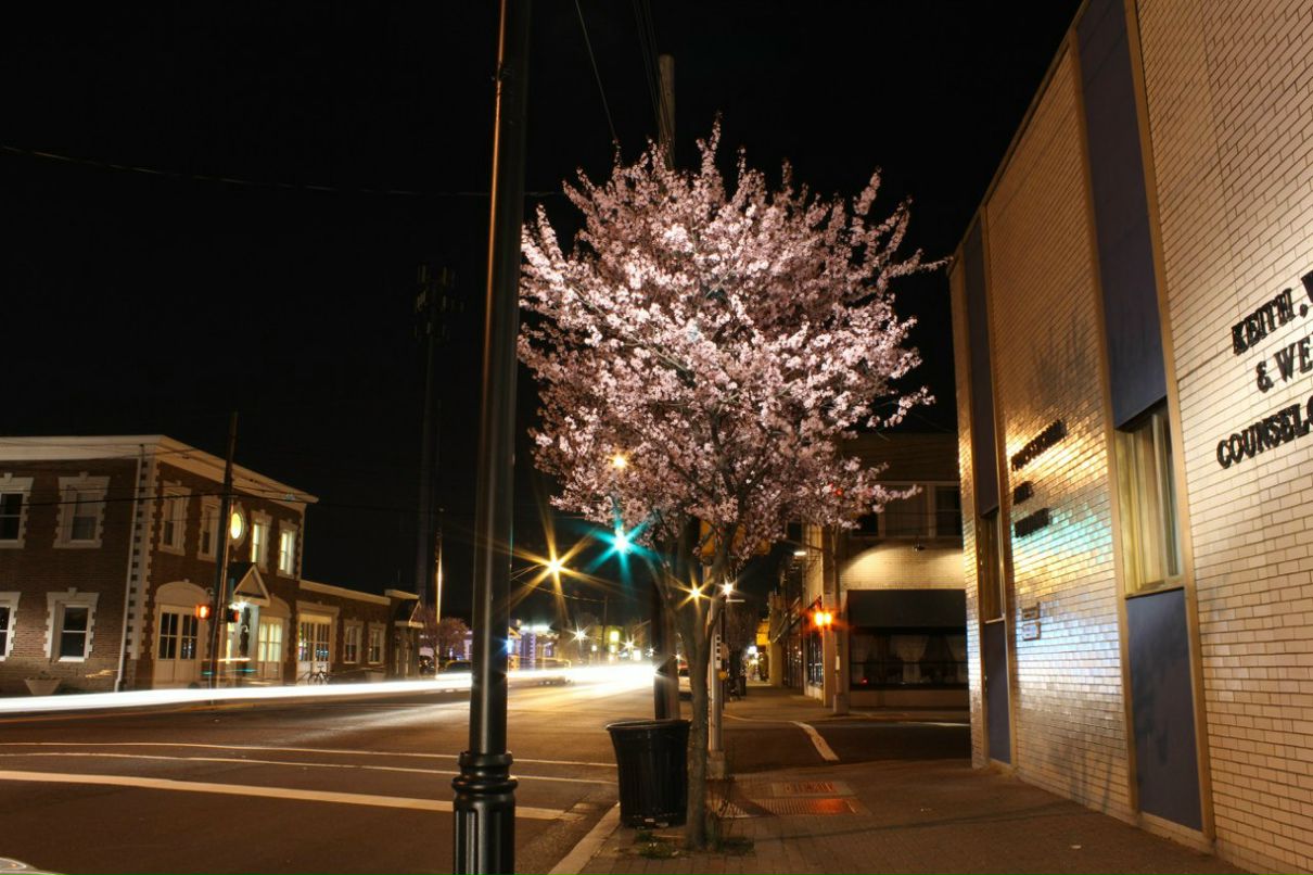 Александр Исаков | Belmar