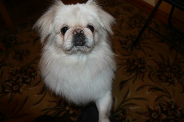 №91, Дарья Поплаухина, 33 года, Алматы №91, Дарья Поплаухина, 33 года, Алматы