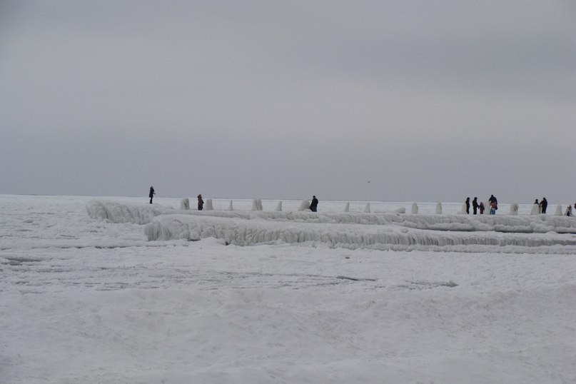 Дмитрий Гузовский | Одесса