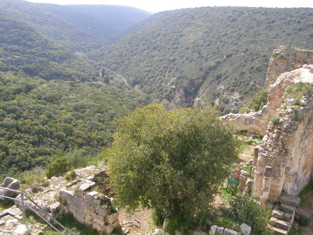 Ирина Немировская | Екатеринбург