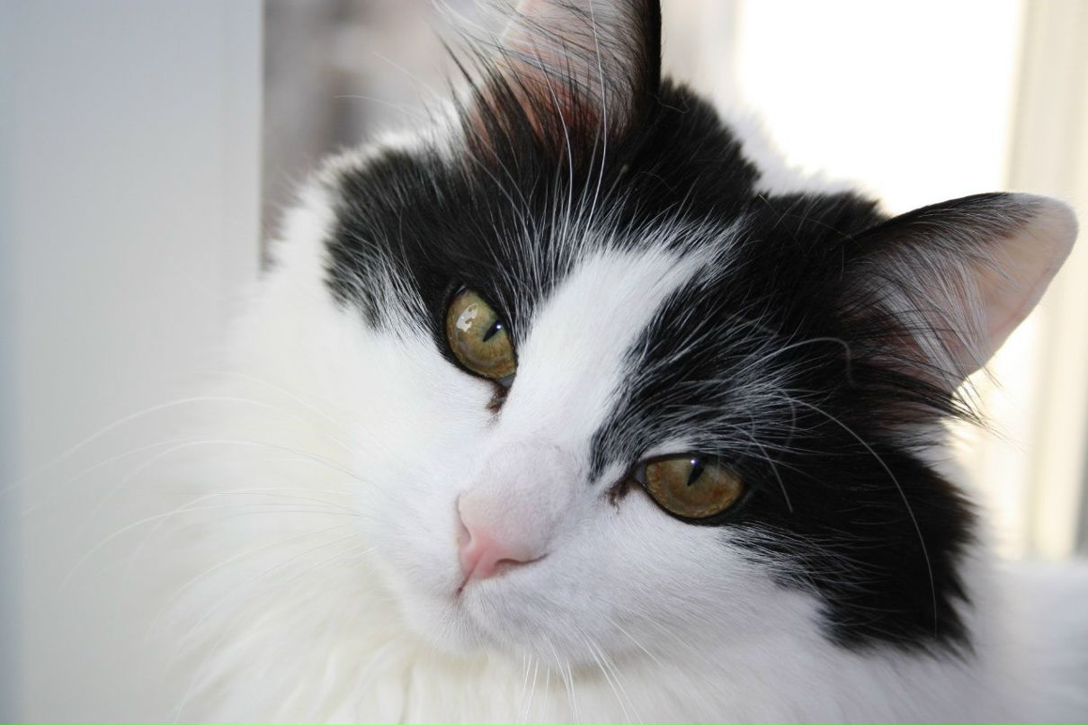 Татьяна Гаврилова | Лодейное Поле