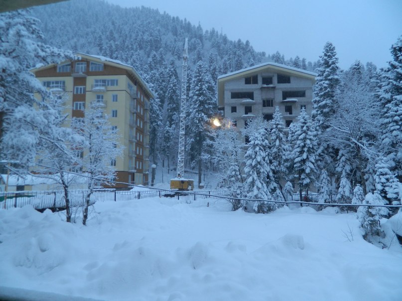 Инна Полоник | Краснодар