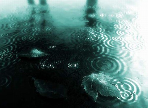 Серёжа Янчик | Черновцы