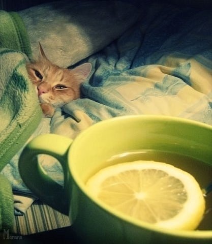 №11, Сергей Христенко, Николаев №11, Сергей Христенко, Николаев