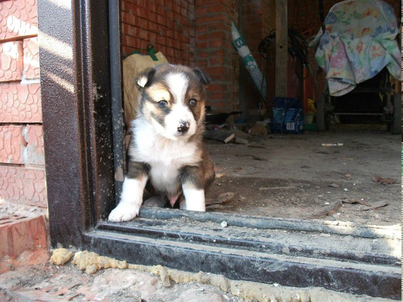 Екатерина Пономарева | Азов