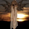 Lady *ANGEL*