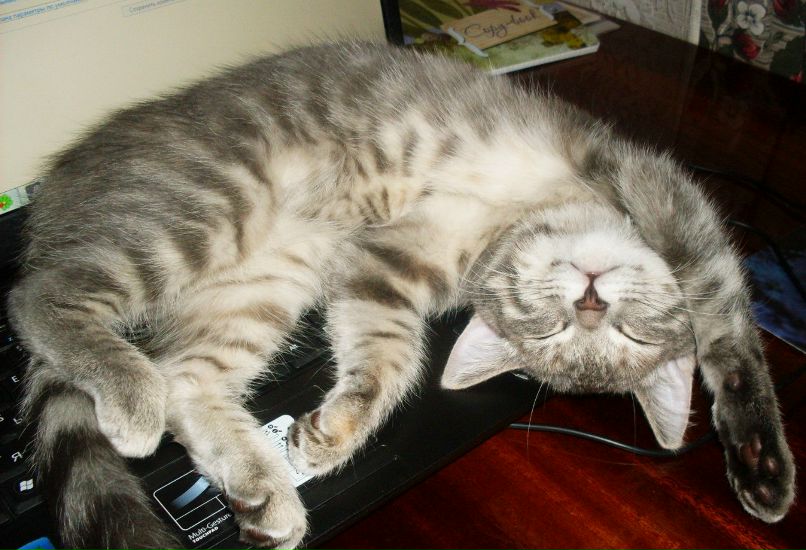 Кристина Морозова | 