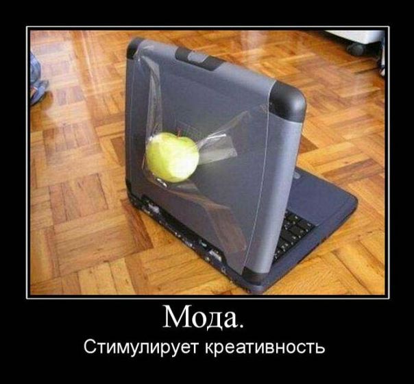 №2, Светлана Чойдонова №2, Светлана Чойдонова