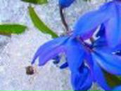 Сергей Антко - и - Светлана | Николаев