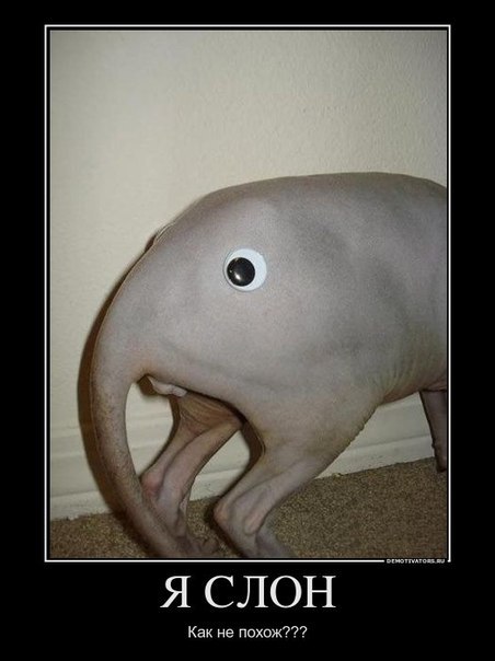 Александр Капитонов | Казань