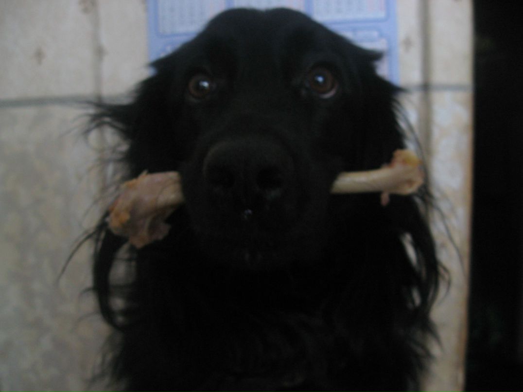 Алёна Доронина | 