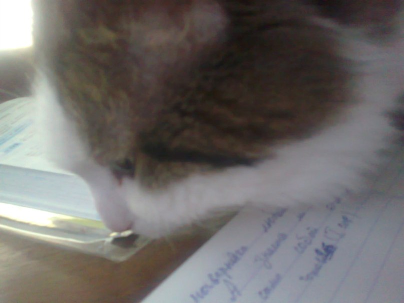 Дмитрий Филимонов DMR[PCReview] | Нижний Новгород