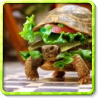 Юлия Соловьева | Кирсанов