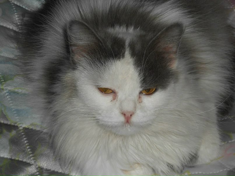 Елена Шумская | Уфа