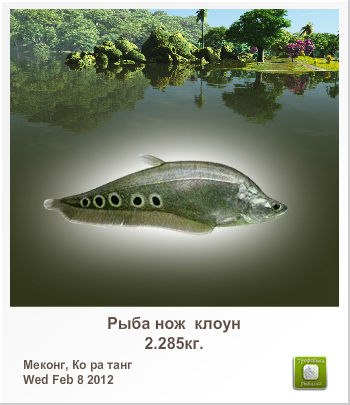 Андрей Дуненков | Санкт-Петербург